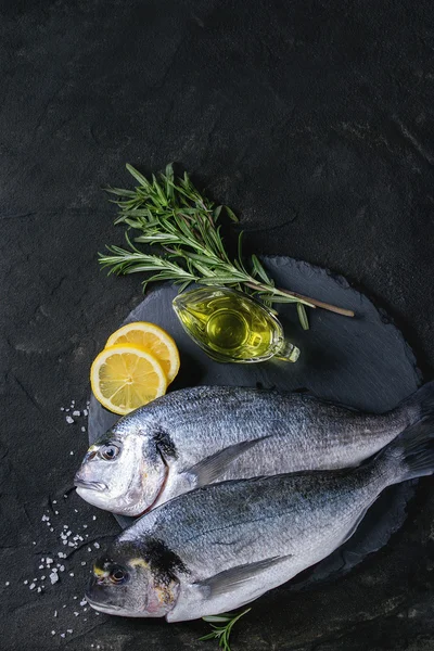 Raw bream fish with herbs — Stock Photo, Image