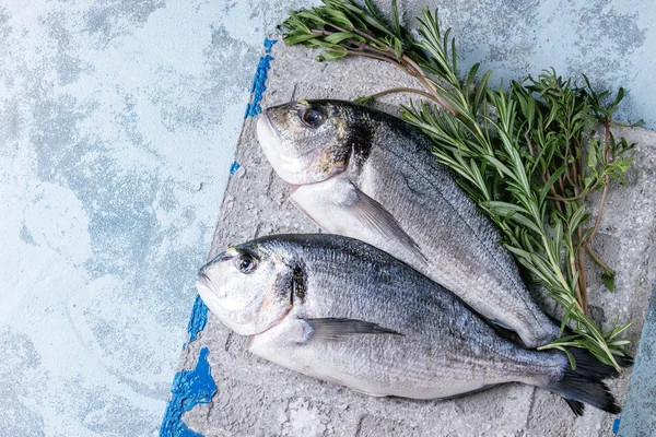 Raw bream fish with herbs — Stock Photo, Image