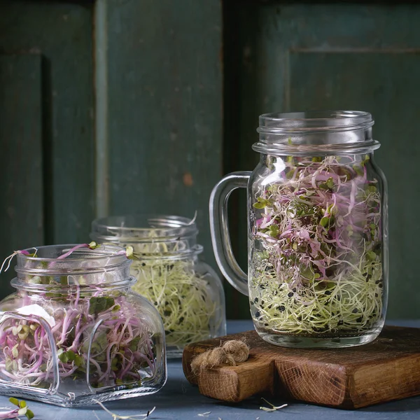 Čerstvé výhonky v mason jar — Stock fotografie