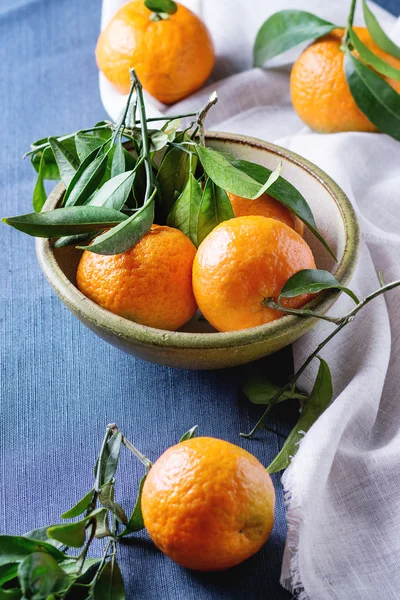 Bol de tangerines aux feuilles — Photo