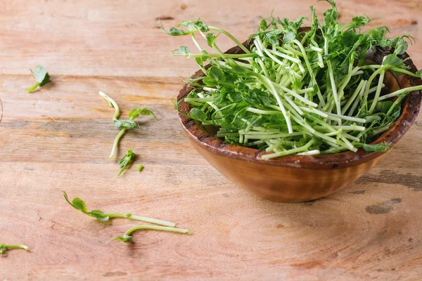 Schüssel mit Erbsensprossen — Stockfoto