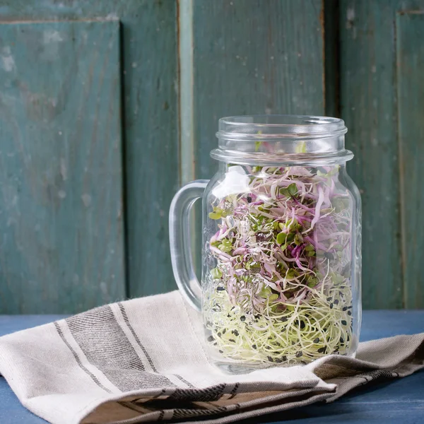 Verse spruiten in mason jar — Stockfoto