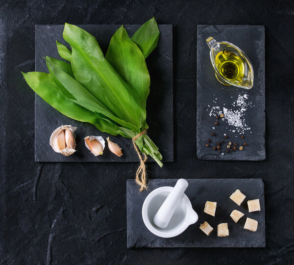 Bunch of fresh ramson