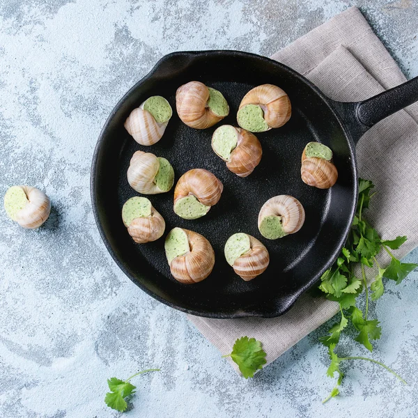 Uncooked Escargots de Bourgogne snails — Stock Photo, Image
