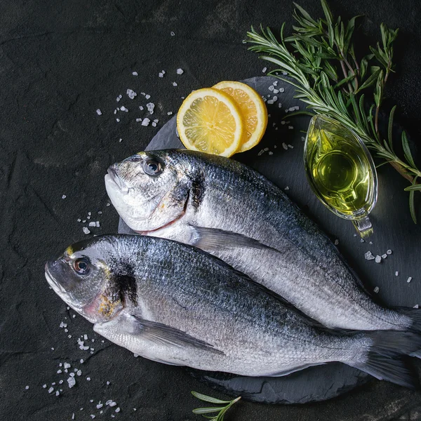 Raw bream fish with herbs — Stock Photo, Image