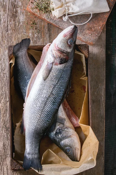 Raw seebass fish — Stock Photo, Image