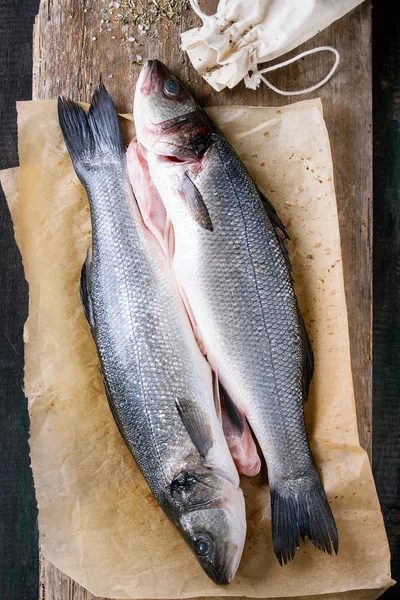 Raw seebass fish — Stock Photo, Image