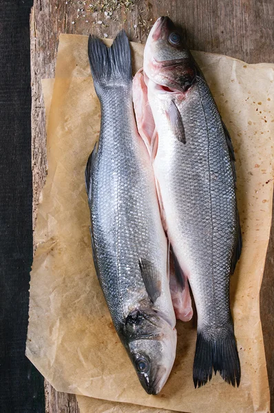 Seebass surowe ryby — Zdjęcie stockowe