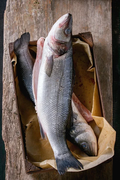 Seebass surowe ryby — Zdjęcie stockowe