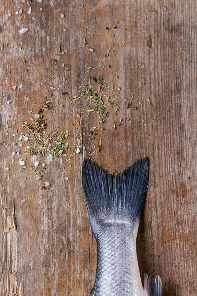 生 seebass 魚 — ストック写真