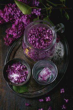 Şeker leylak çiçeği.