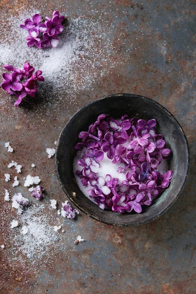 Flores de lilás em açúcar — Fotografia de Stock