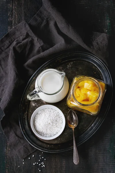 Tapioca dessert with mango — Stock Photo, Image