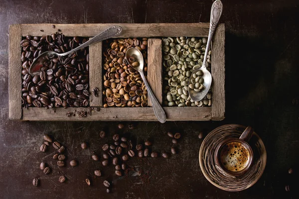 Variant av kaffebönor — Stockfoto