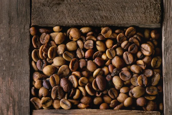 Variation of coffee beans — Stock Photo, Image