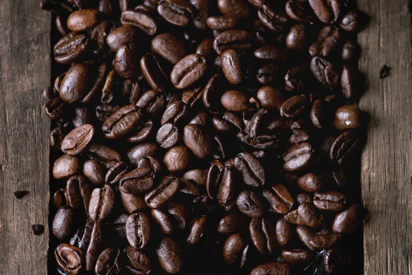 Variation of coffee beans — Stock Photo, Image