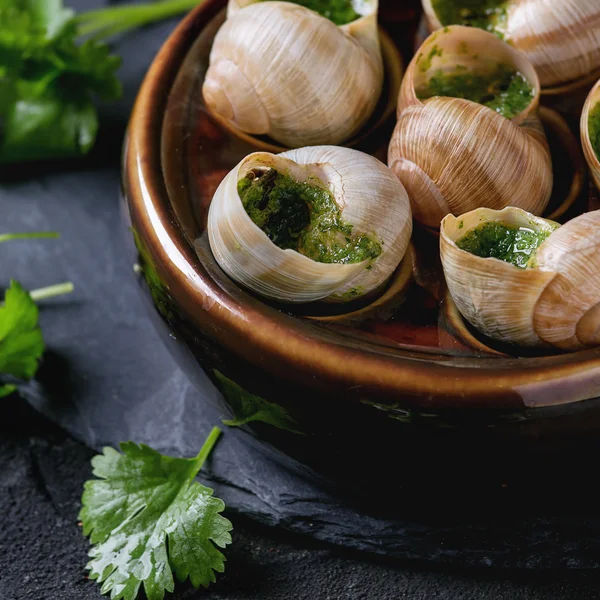 Kész enni escargots de Bourgogne csigák — Stock Fotó