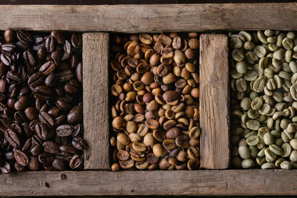 Variant av kaffebönor — Stockfoto