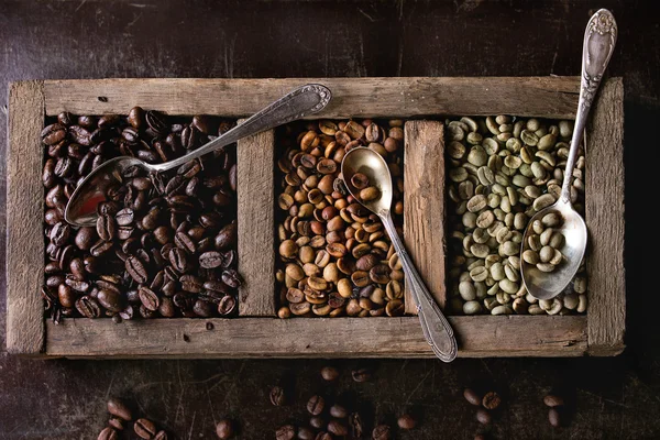 Variation of coffee beans — Stock Photo, Image