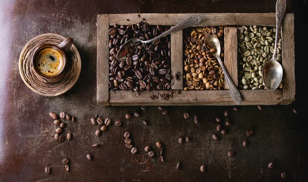 Kahve çekirdekleri varyasyonu — Stok fotoğraf