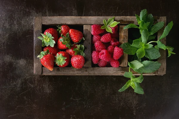 Frische Beeren und Minze — Stockfoto