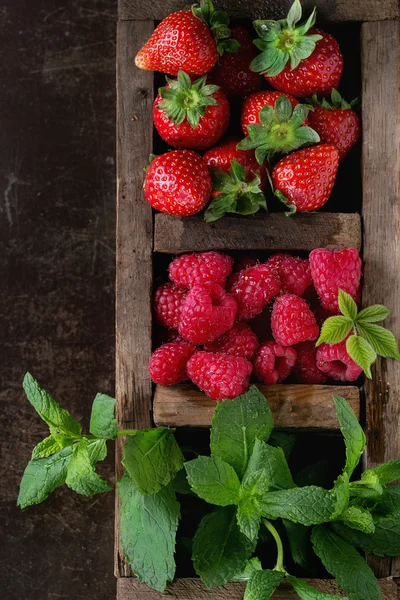 Fresh berries and mint — Stock Photo, Image