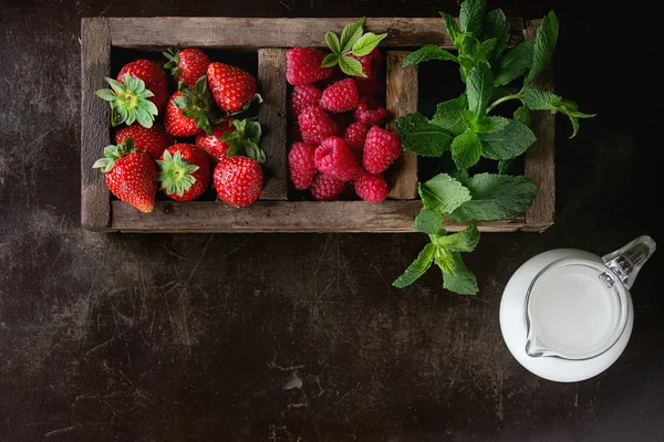 Frische Beeren und Minze — Stockfoto