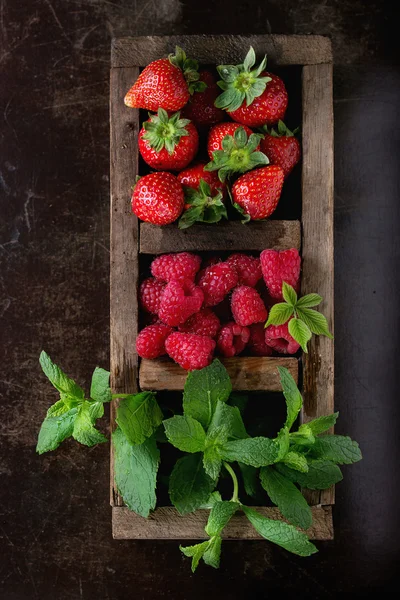 Frische Beeren und Minze — Stockfoto