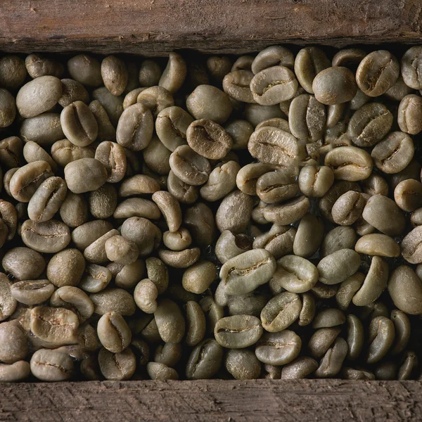 Variation of coffee beans — Stock Photo, Image