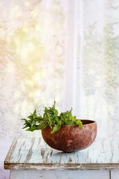 Bouquet of fresh mint — Stock Photo, Image