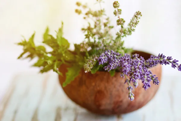 庭のハーブの花束 — ストック写真