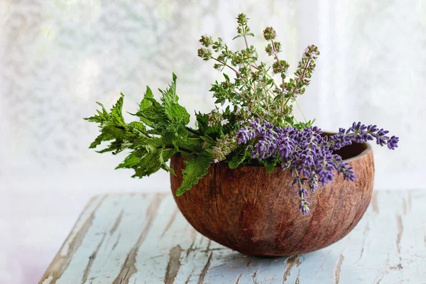 Bouquet d'herbes de jardin — Photo