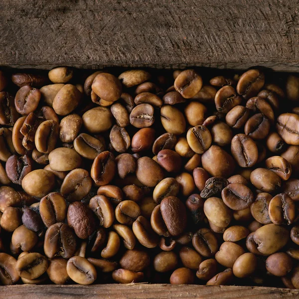 Variation of coffee beans — Stock Photo, Image