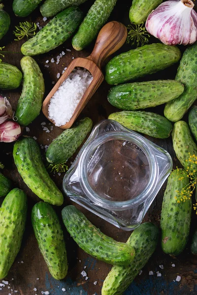 Cucumbers for pickling — Stock Photo, Image