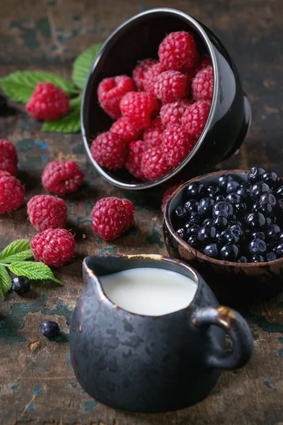 Bowls of raspberries and blueberries — Stock Photo, Image
