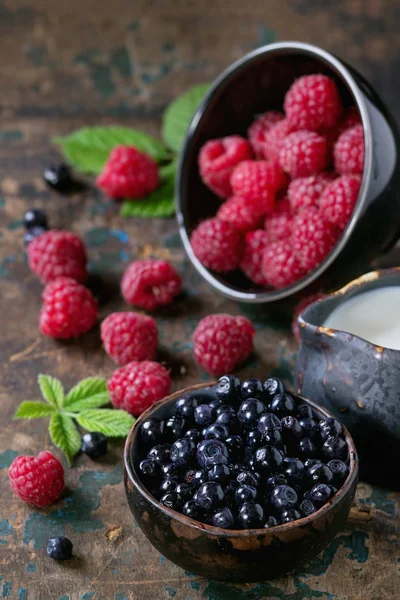 Cuencos de frambuesas y arándanos — Foto de Stock