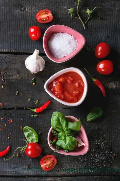 Ingredienser för att göra ketchup — Stockfoto