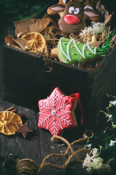 Handgemaakte Kerst patroon gingerbreads — Stockfoto