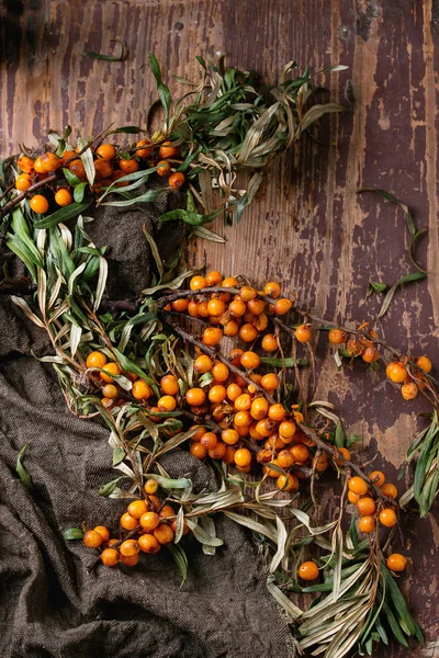 Sea buckthorn on a branch — Stock Photo, Image