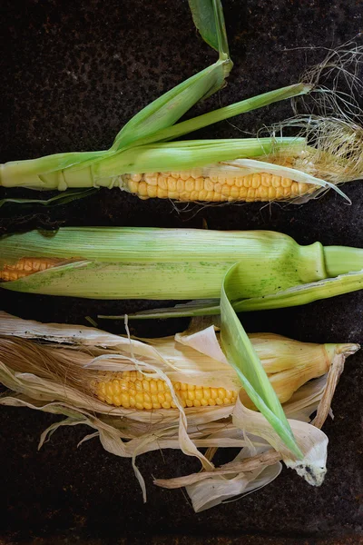 Mazorcas de maíz con hojas — Foto de Stock