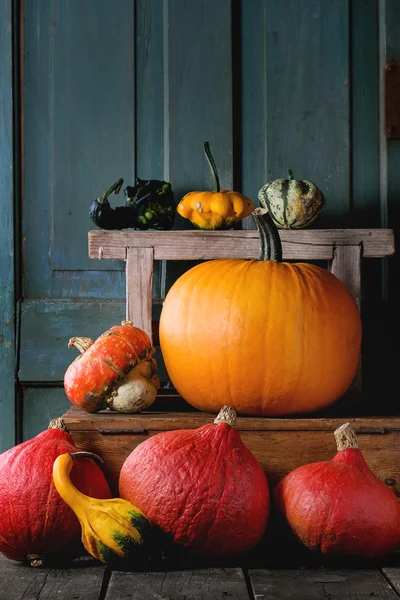 Assortiment van verschillende pumpkins — Stockfoto