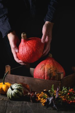 Farklı kabaklar ve çilek