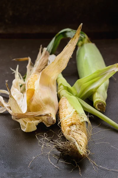 Yaprakları ile mısır koçanları