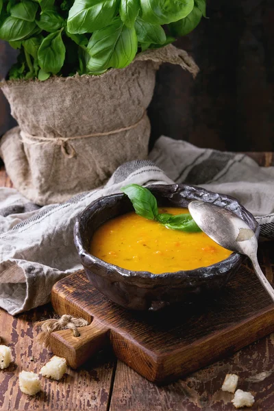 당근 수프 그릇 — 스톡 사진