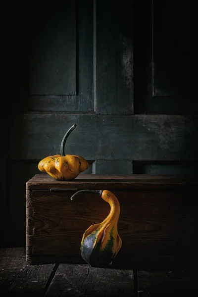 Deux citrouilles décoratives — Photo