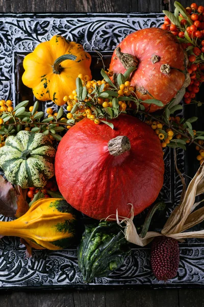 Assortment of different pumpkins and berries — Stock Photo, Image