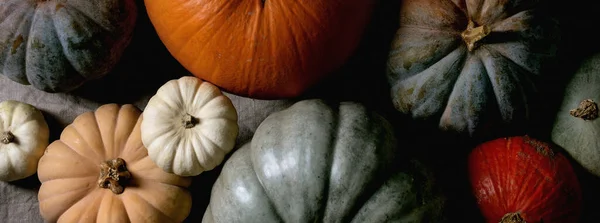 Colección Calabazas Coloridas Diferentes Tamaños Cultivares Mantel Lino Acostado Cosecha —  Fotos de Stock