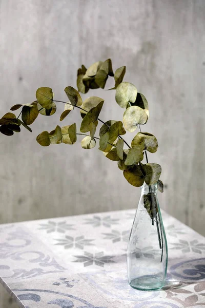 유칼립투스 가지들은 유리병에 잎사귀들이 세라믹 테이블 있습니다 그림자 — 스톡 사진