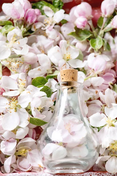 Vlakke Lay Van Lente Appel Bloeiende Bloemen Bloemblaadjes Glazen Fles — Stockfoto