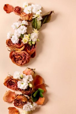 Güzel botanik kompozisyonu. Kuru güller, taç yaprakları ve bej arka planda beyaz çiçekler. Düz yat, boşluğu kopyala